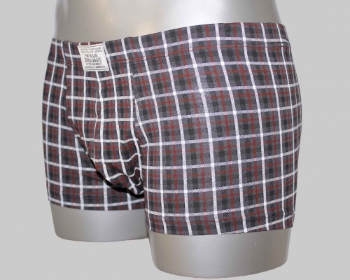 Трусы Tom tailor 70223