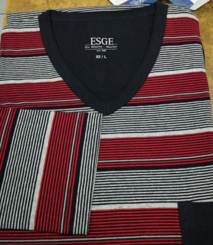 Пижама мужская ESGE 2967-886