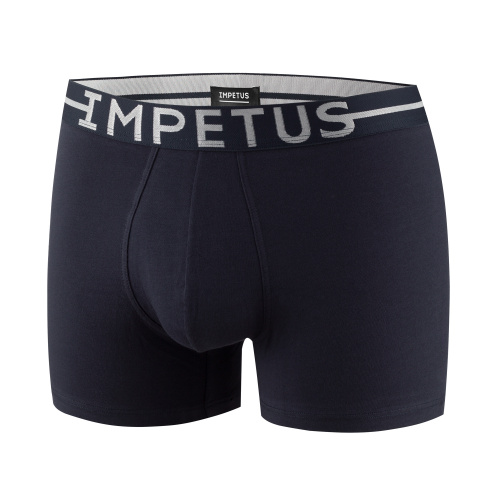 трусы мужские Impetus 1258021
